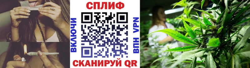 Канабис планчик  Советский 